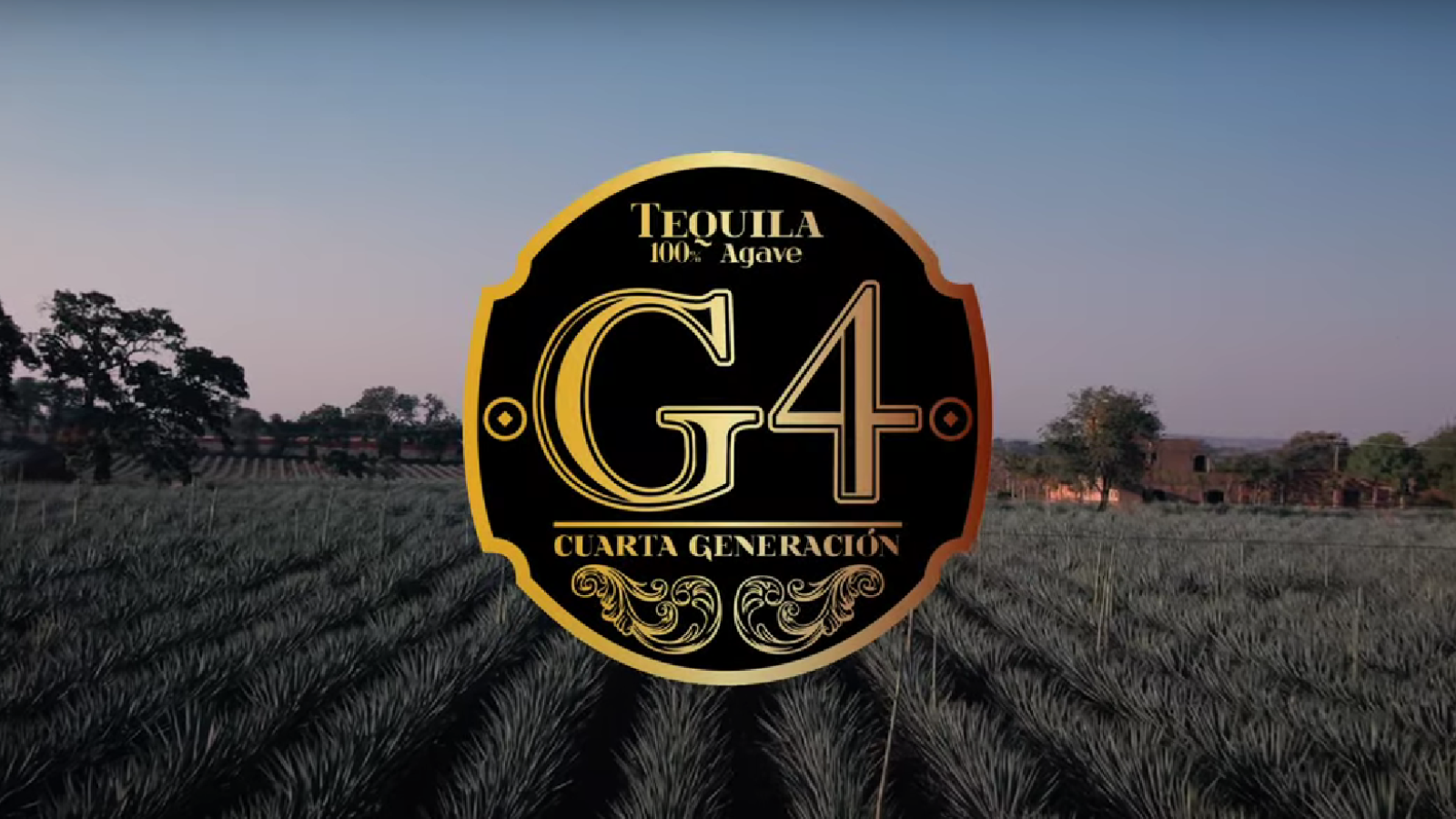 G4『伝統と革新』 – テキーラ専門通販サイトのテキーラムーチョ